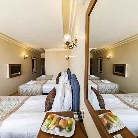 Hotel Grand Hamit 4*
